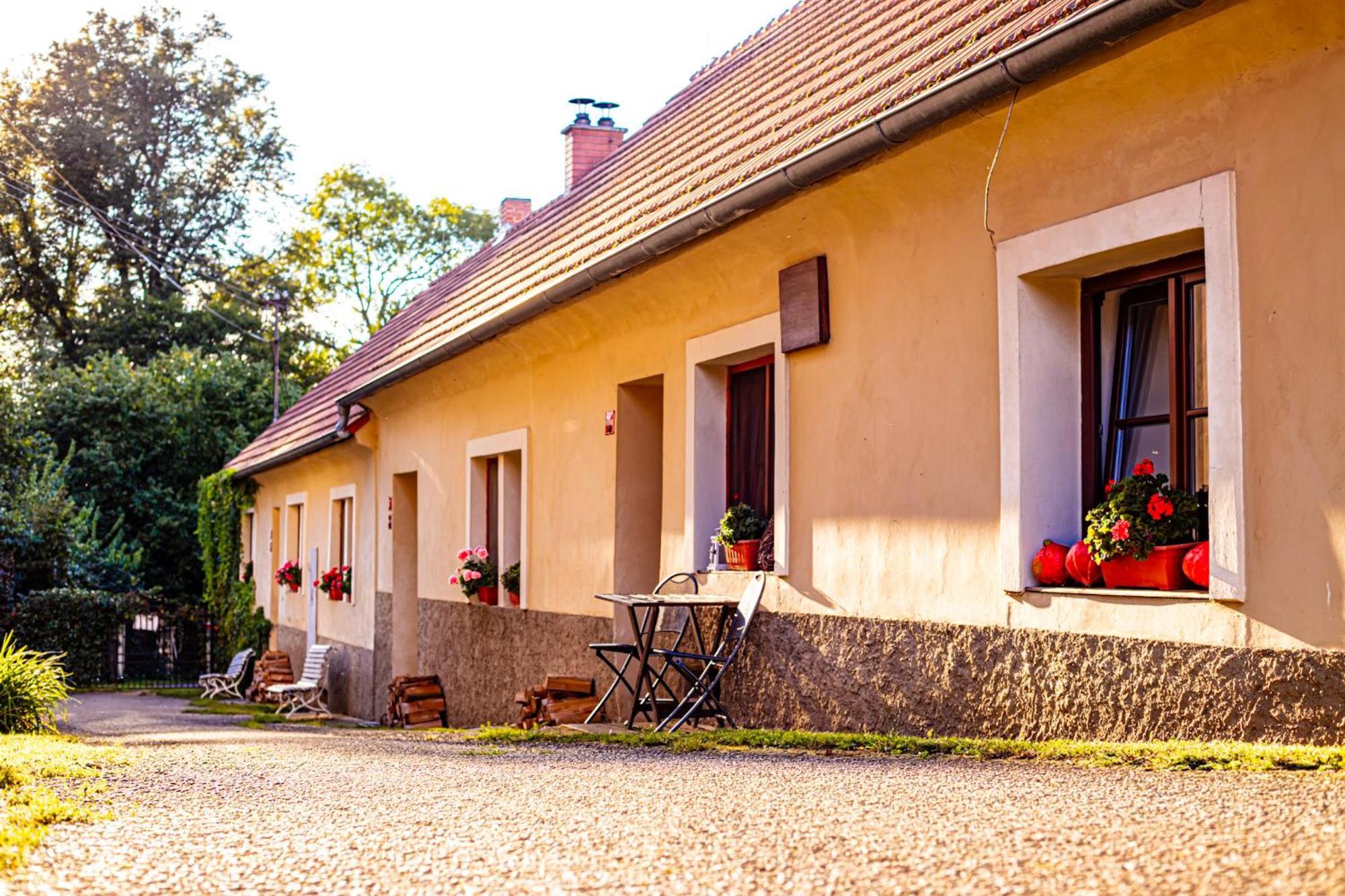 Statek Adamek Apartment Borotice